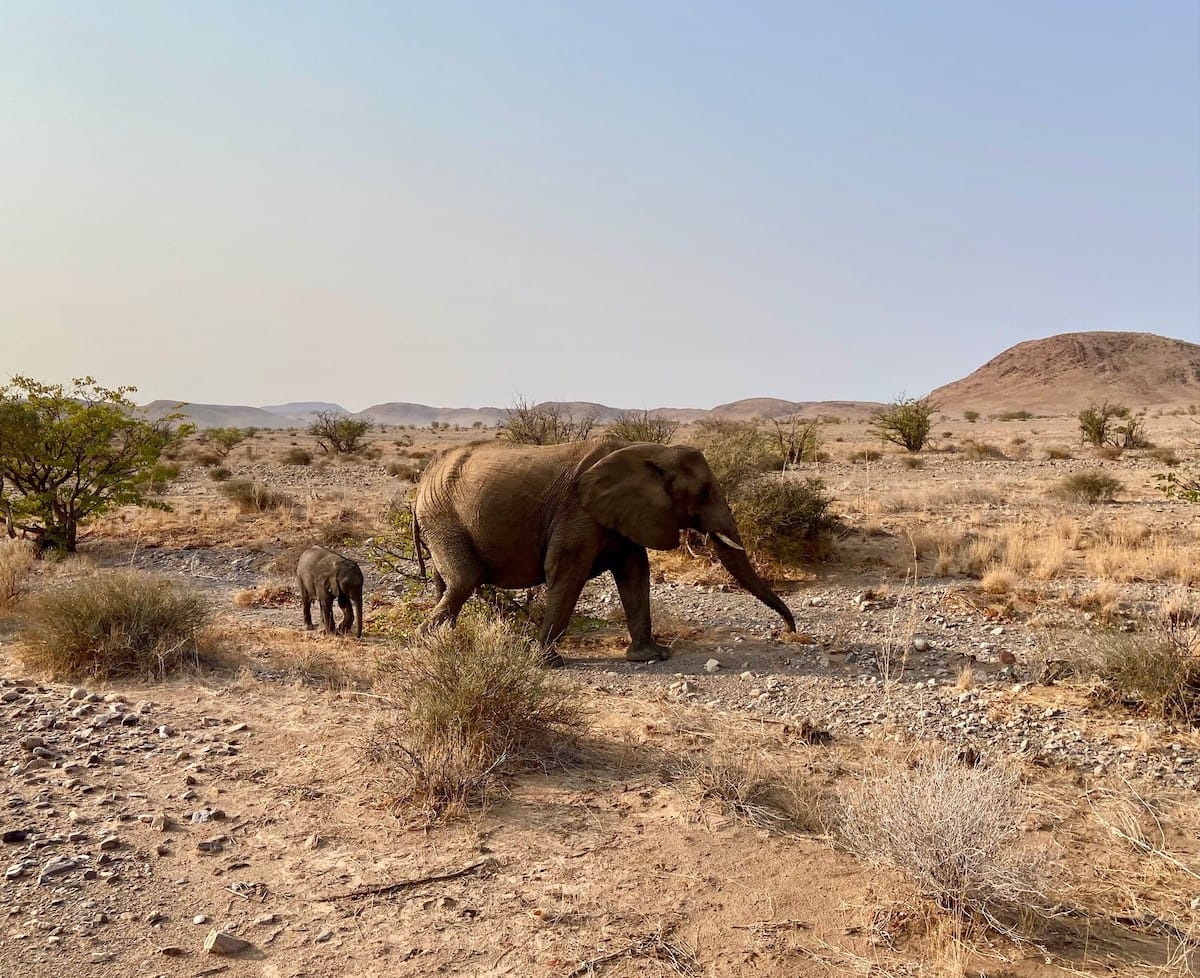 NAMIBIA — Dylan and Wendy Campbell