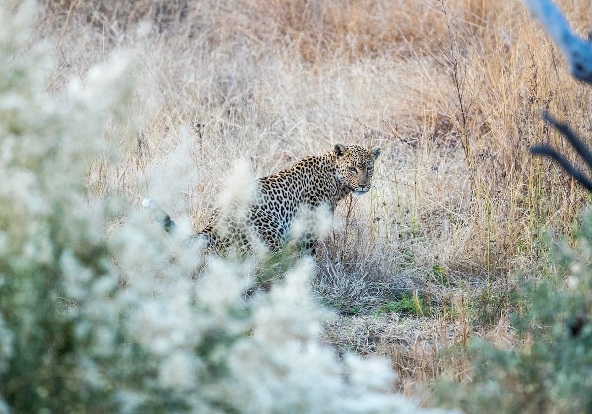 SOUTH AFRICA