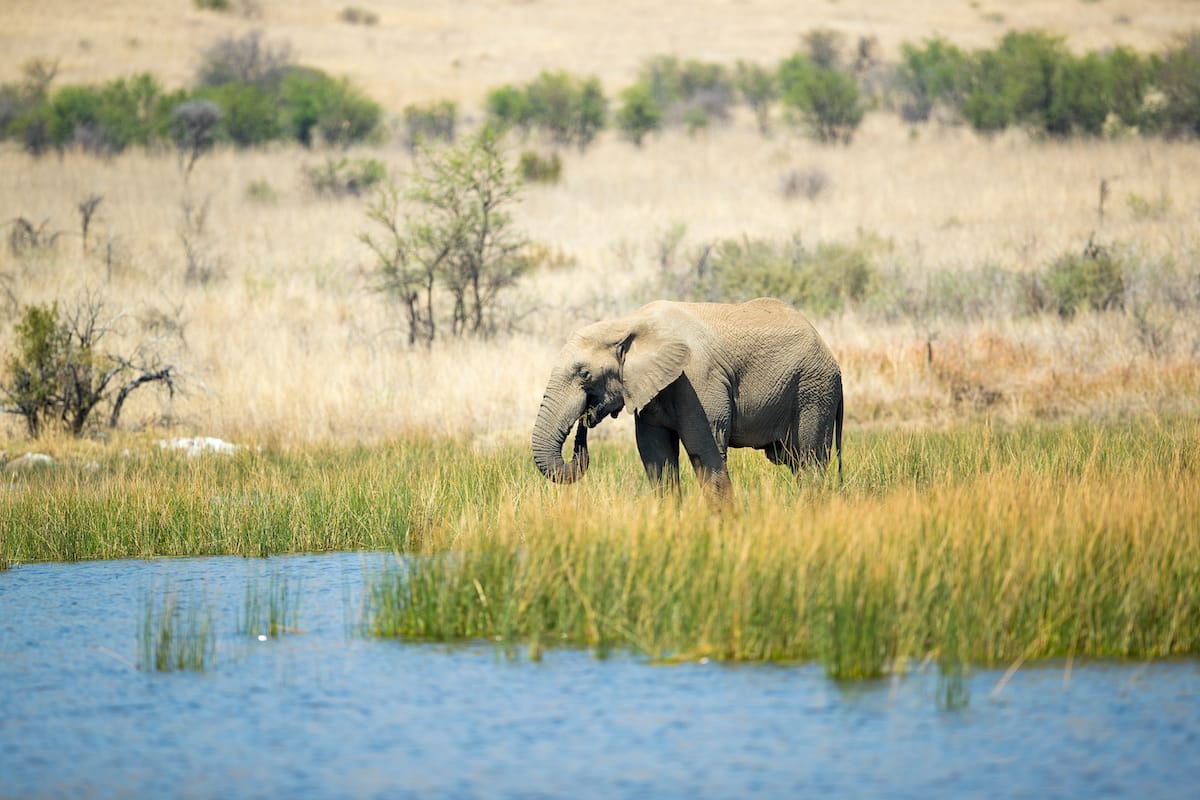 SOUTH AFRICA