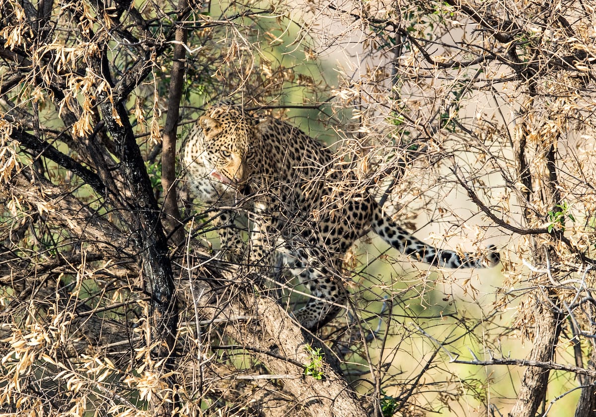 SOUTH AFRICA