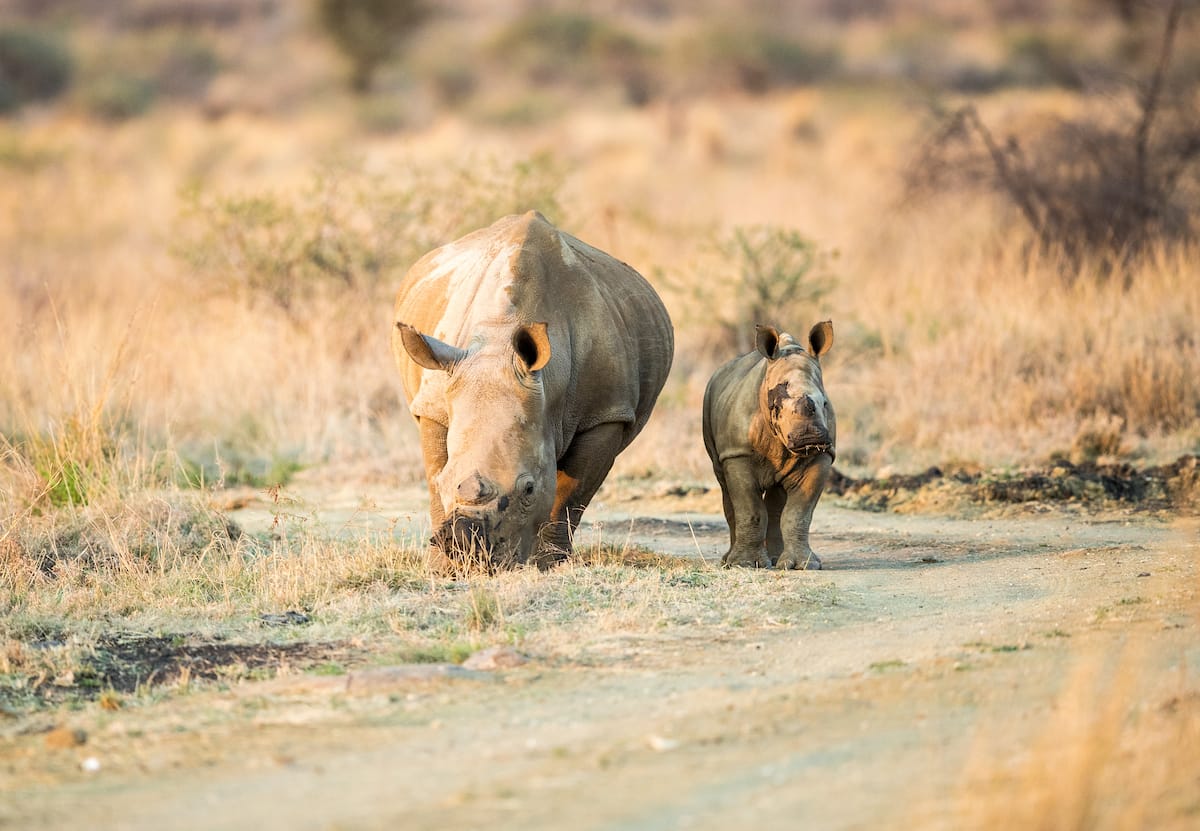 SOUTH AFRICA