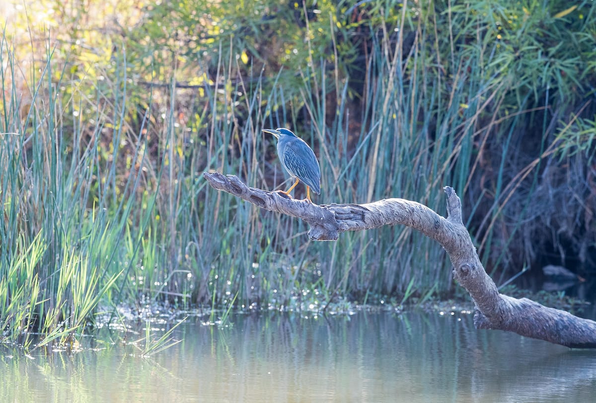 SOUTH AFRICA