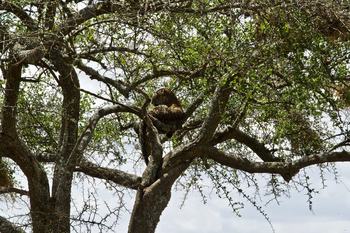 TANZANIA