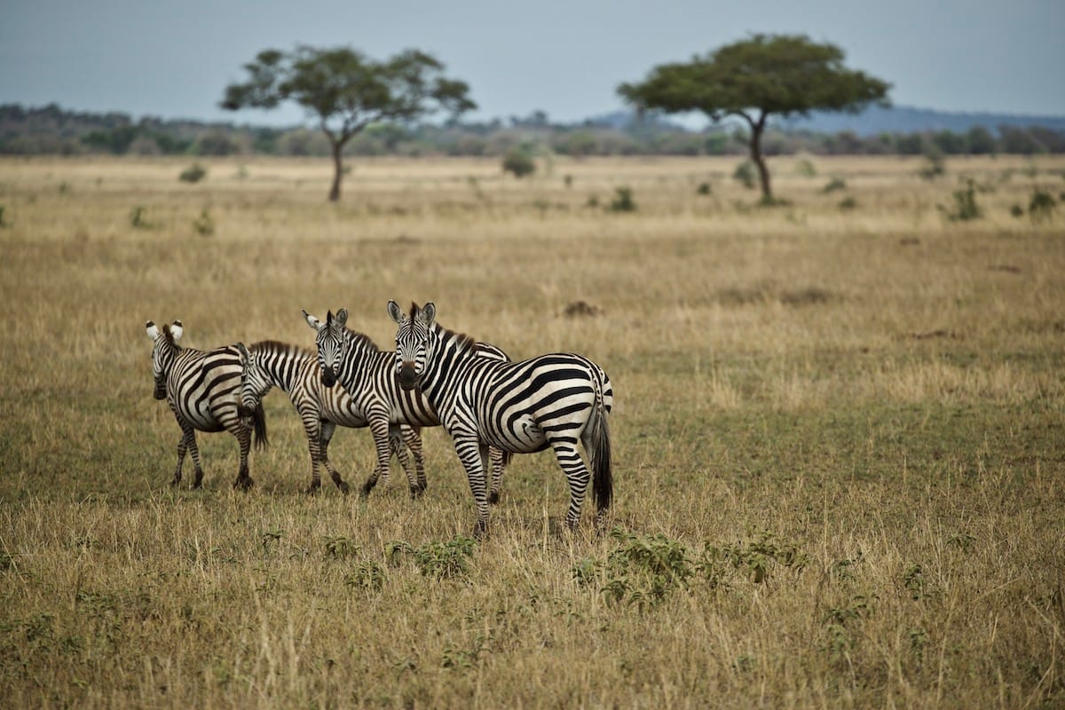 TANZANIA