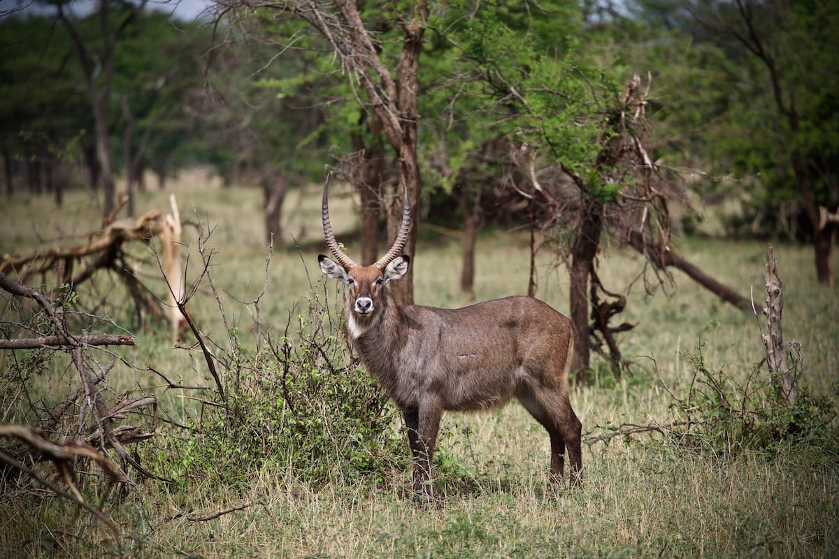 TANZANIA
