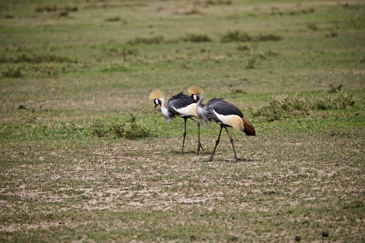 TANZANIA