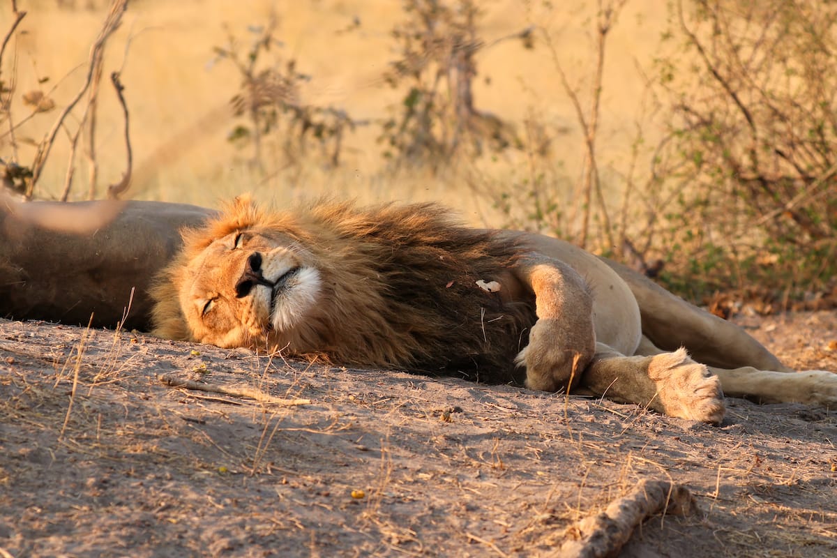ZIMBABWE