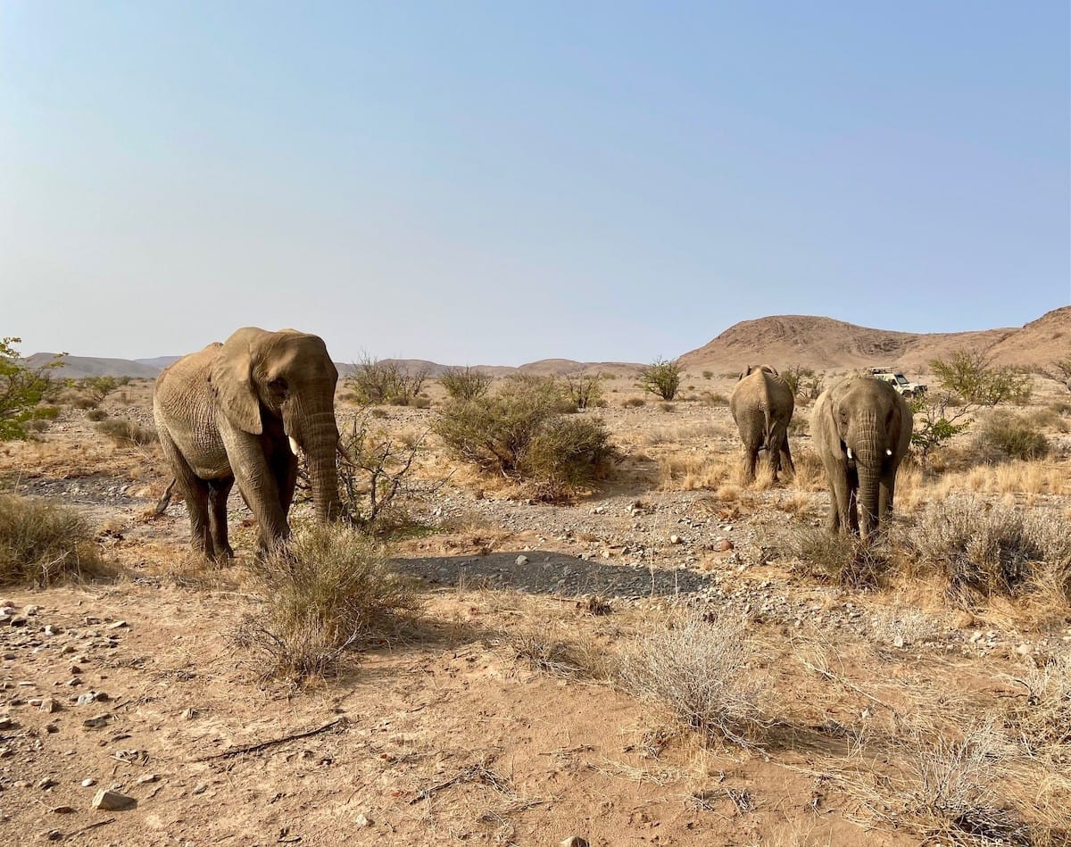 NAMIBIA — Dylan and Wendy Campbell