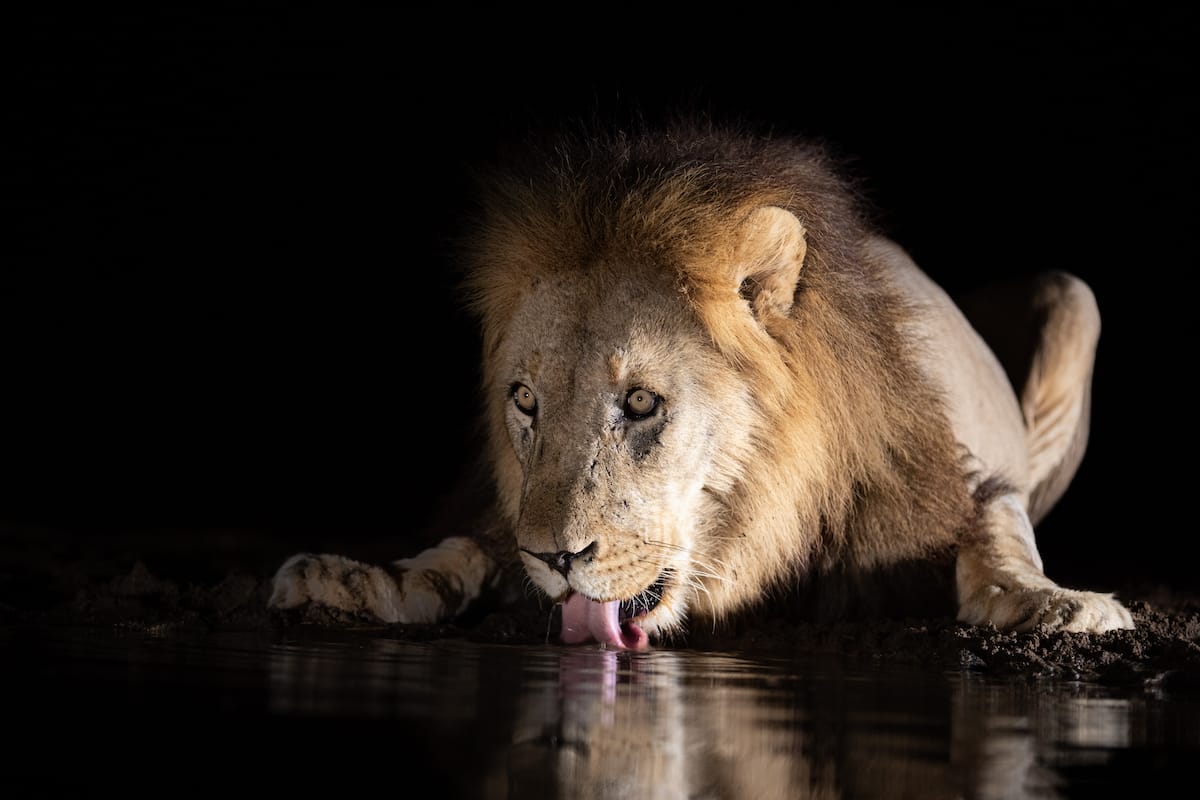 SOUTH AFRICA — Paul Brower