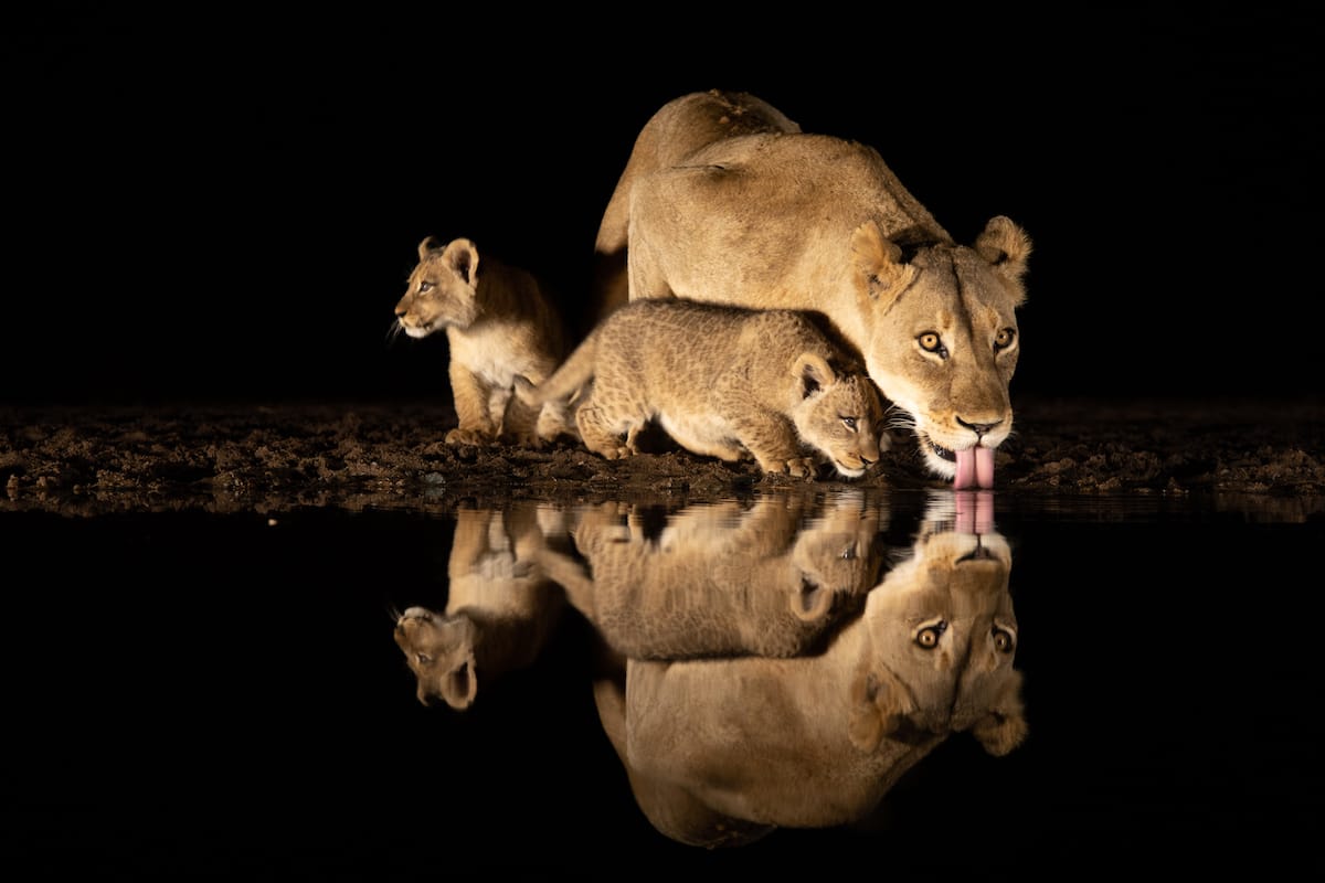 SOUTH AFRICA — Paul Brower