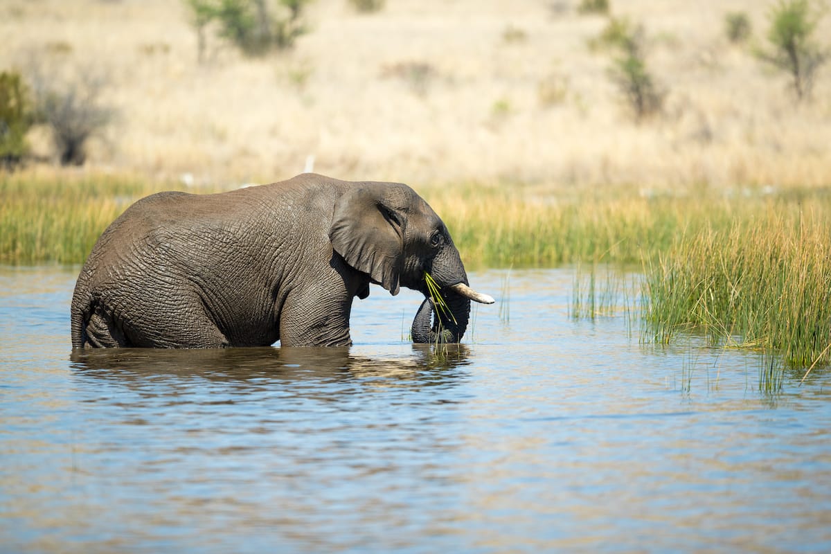 SOUTH AFRICA