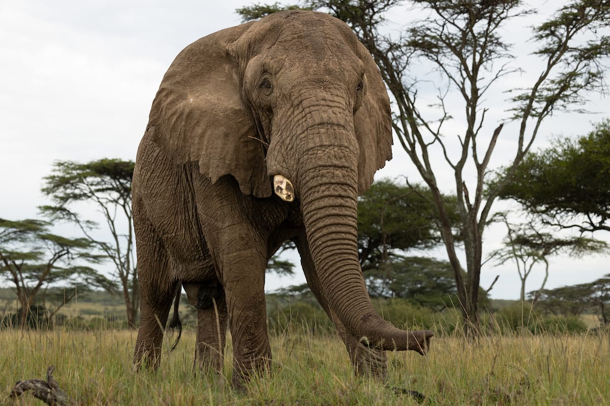 KENYA — Paul Brower