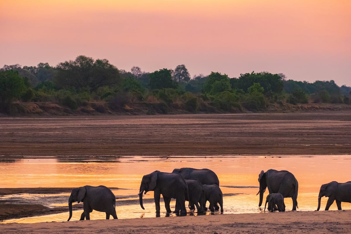 ZAMBIA