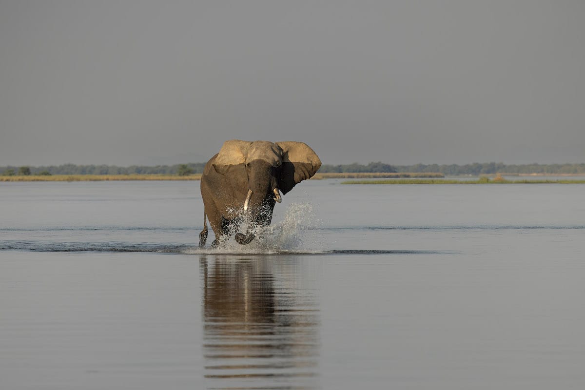 ZAMBIA — Paul Brower