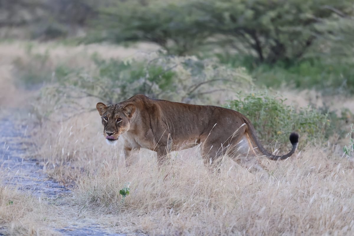 TANZANIA