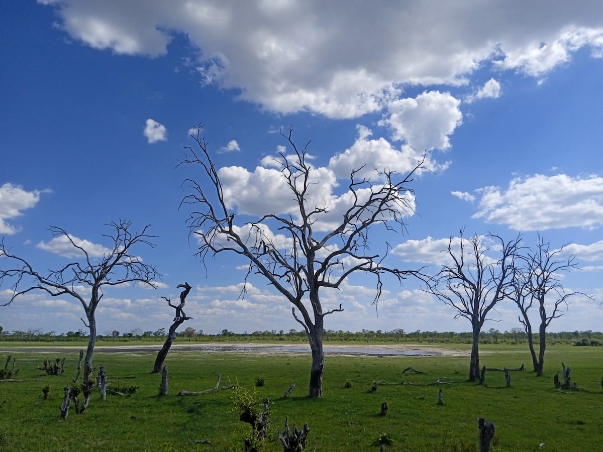 BOTSWANA