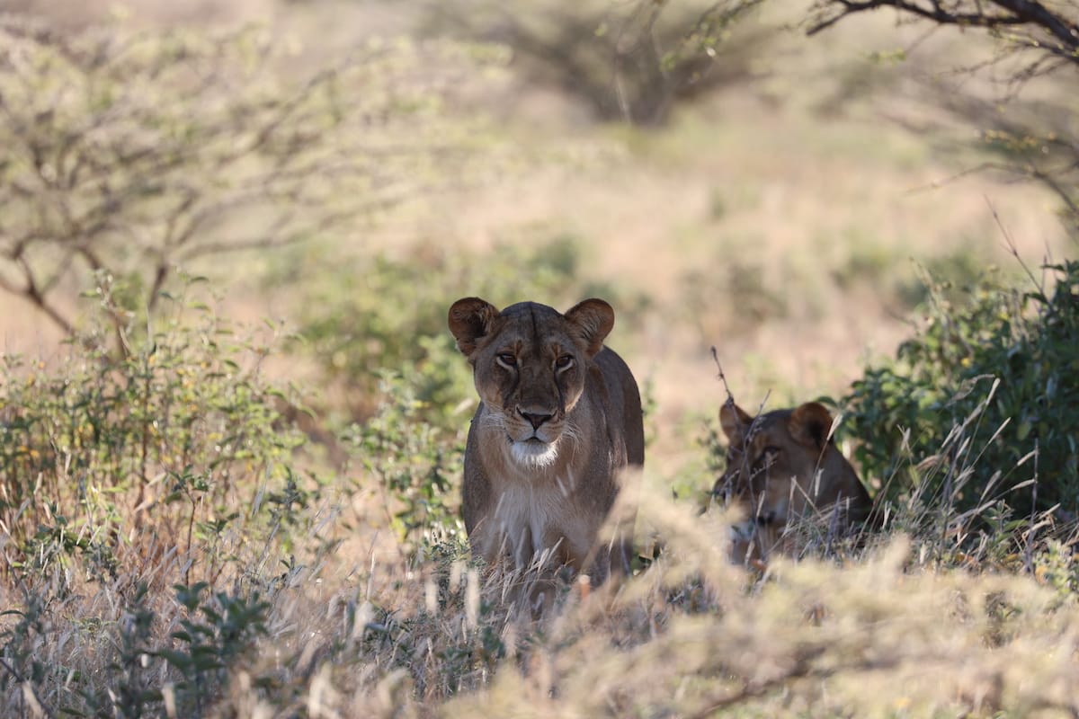 TANZANIA