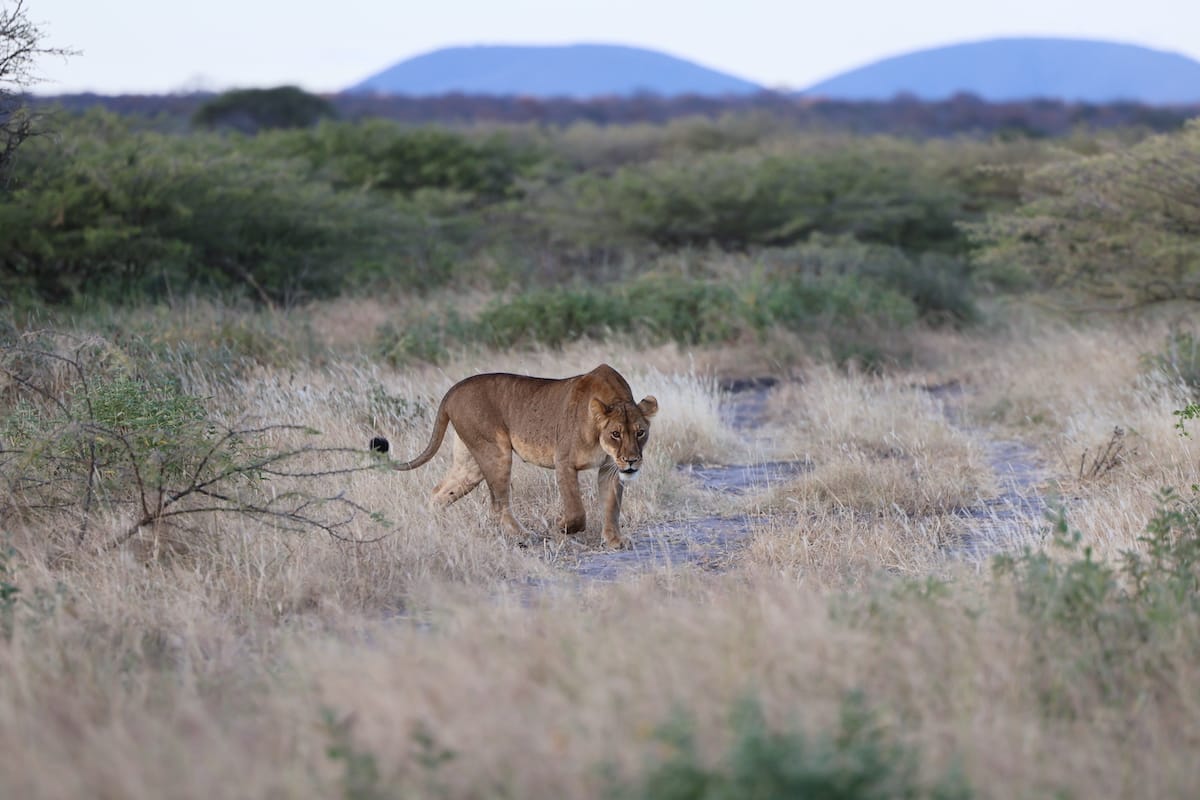 TANZANIA