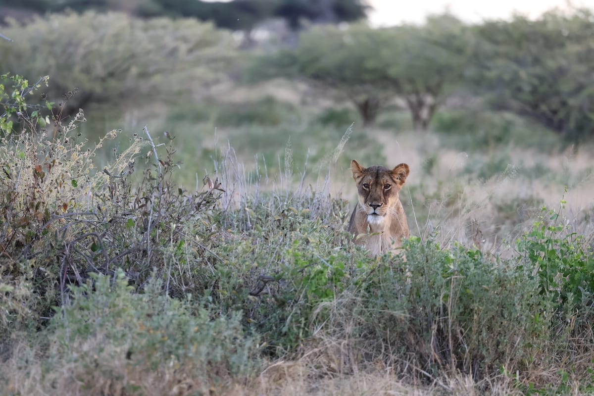 TANZANIA