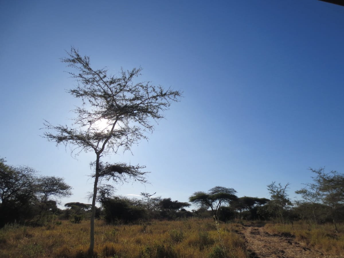 TANZANIA
