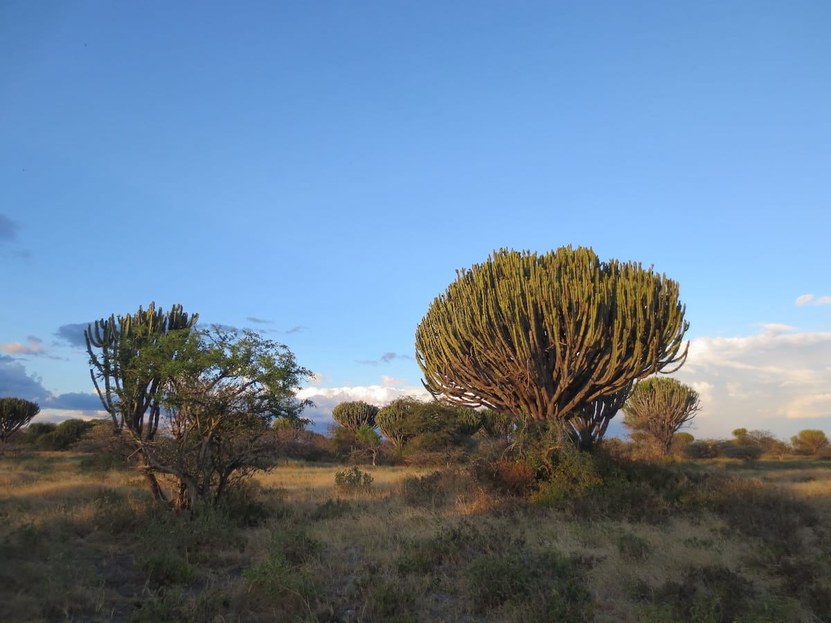 TANZANIA