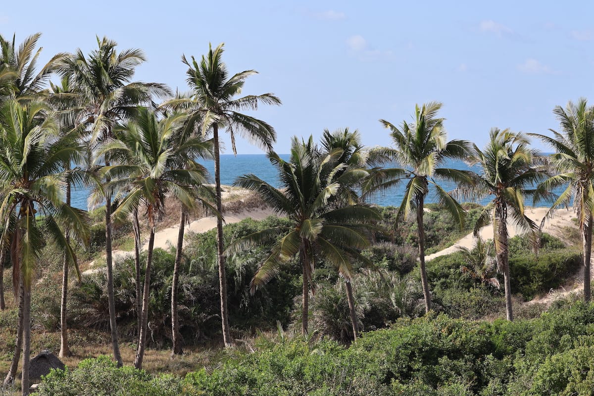 MOZAMBIQUE