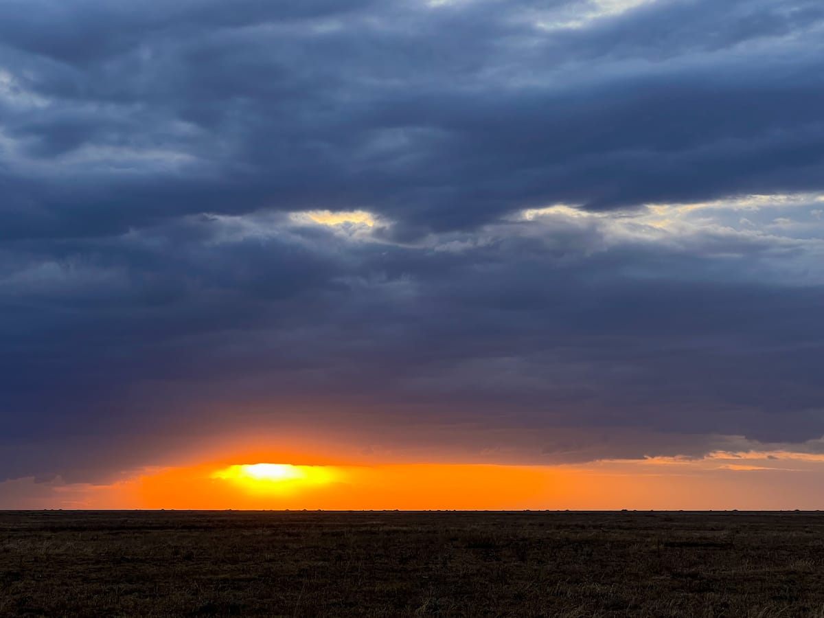 SOUTH AFRICA — Paul Brower