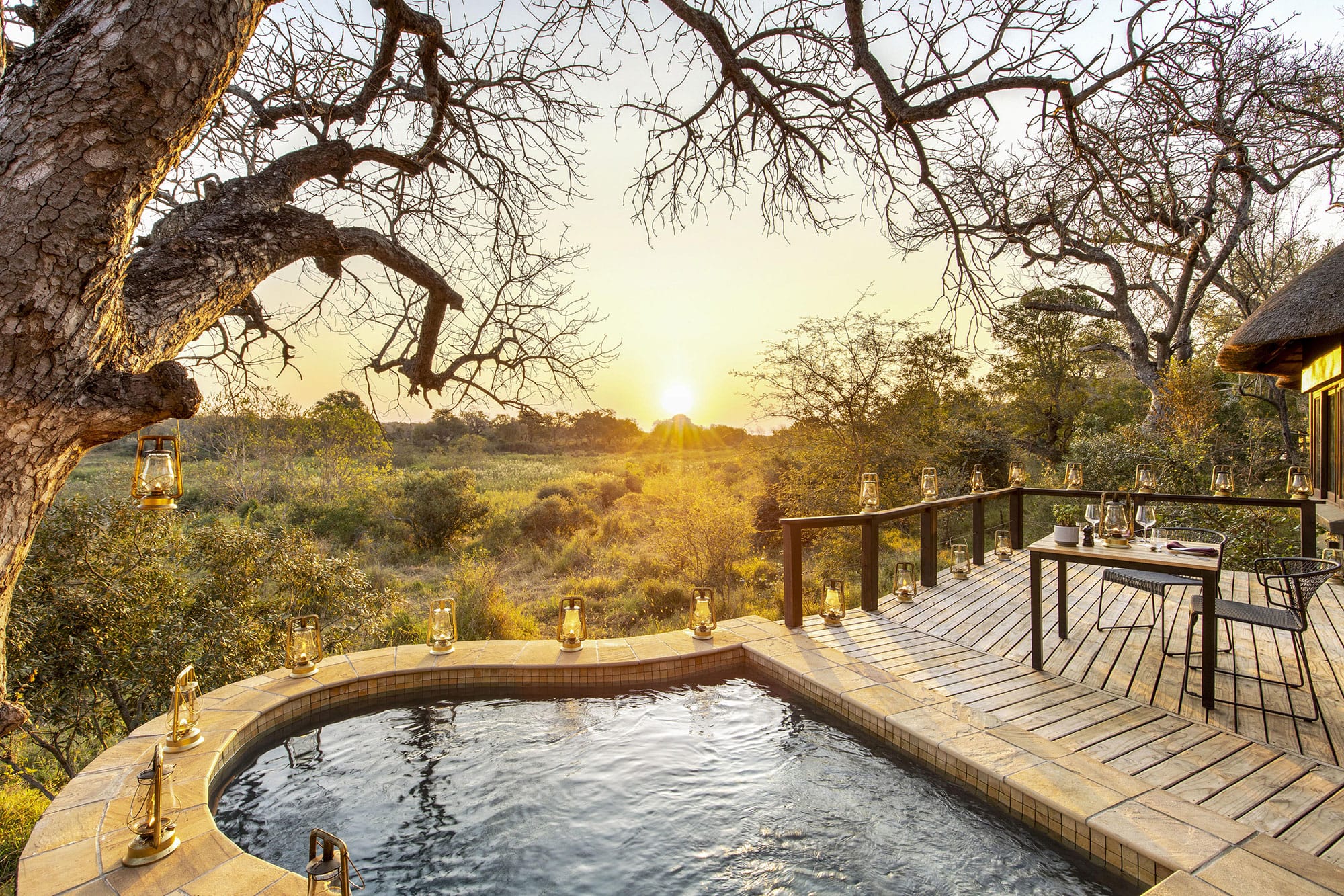 Kruger or Botswana: How to Choose