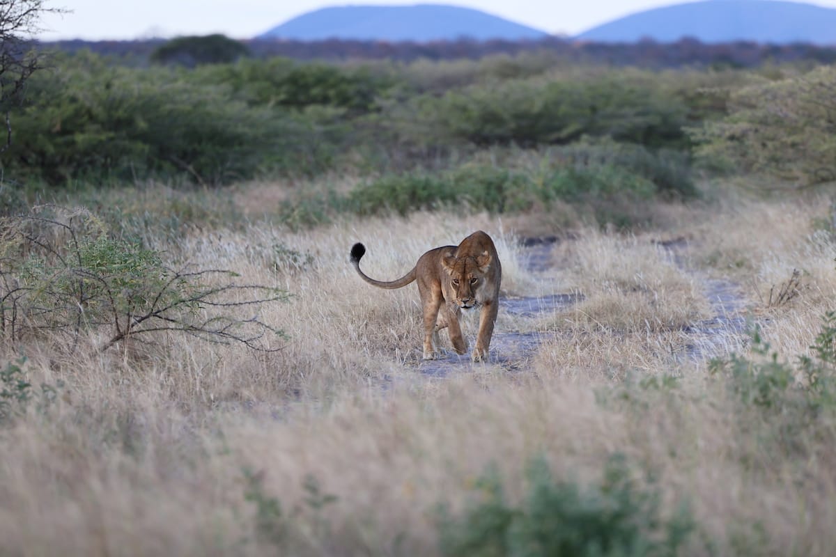 TANZANIA