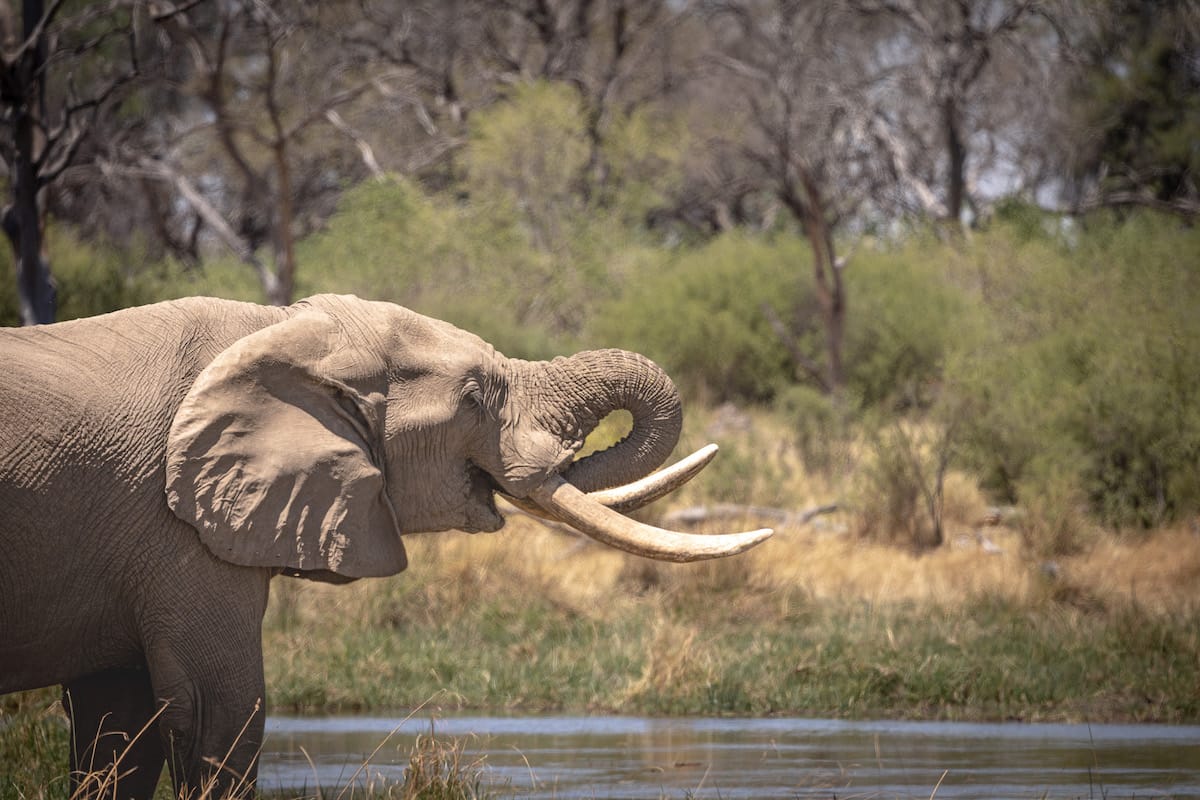 BOTSWANA