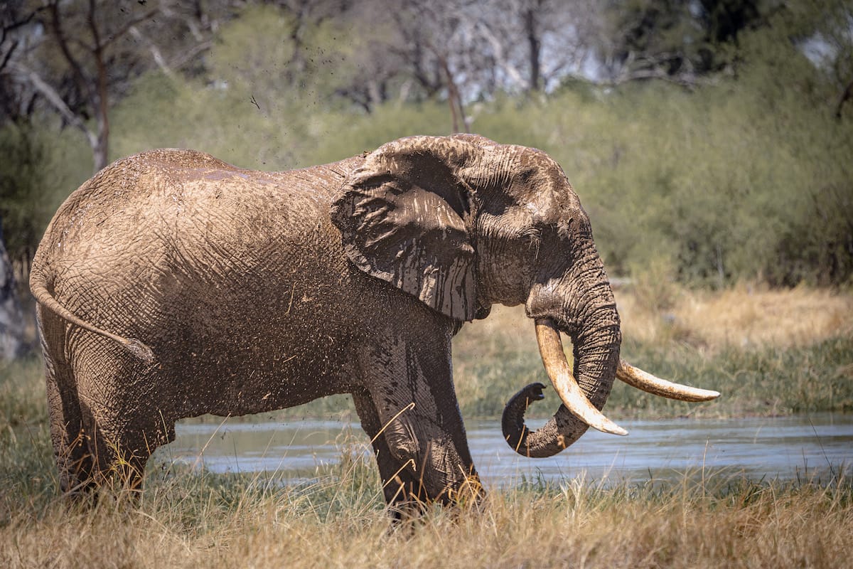 BOTSWANA