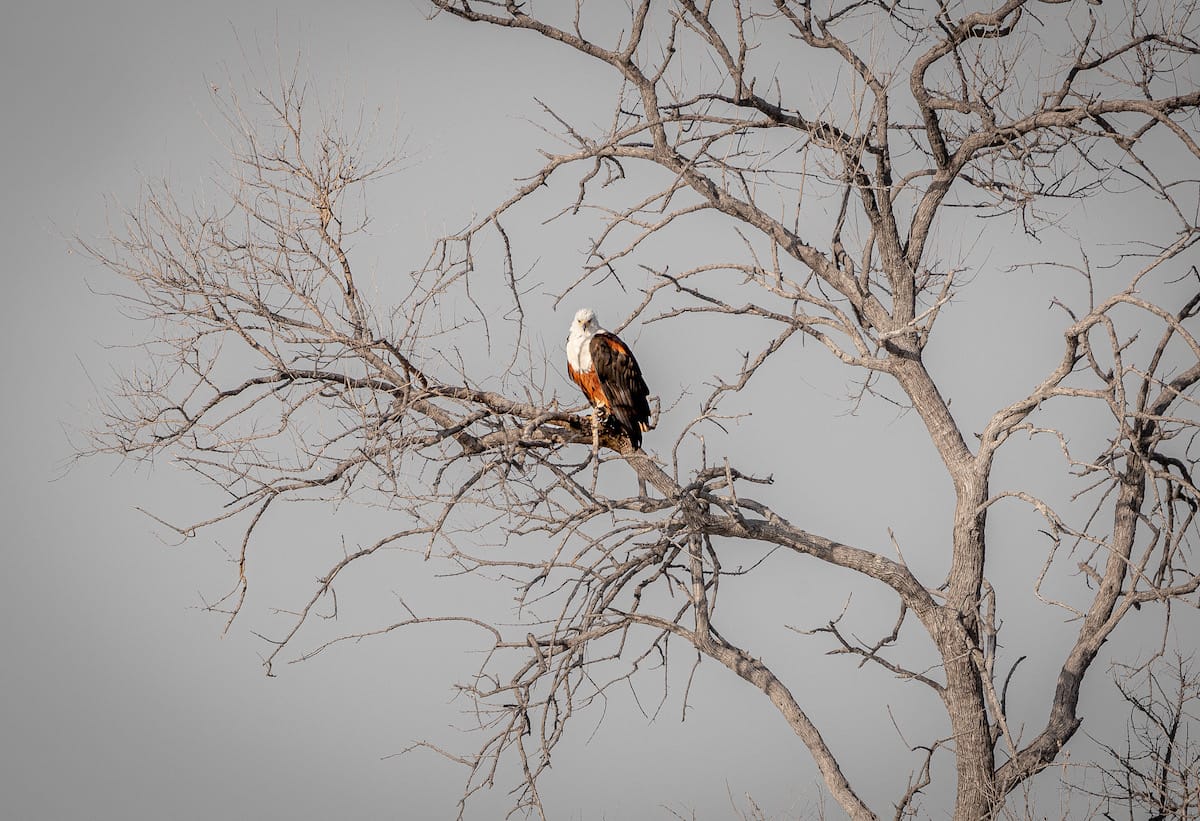 BOTSWANA