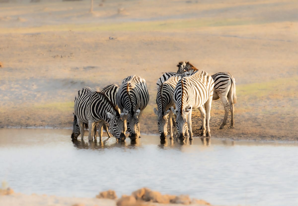 BOTSWANA