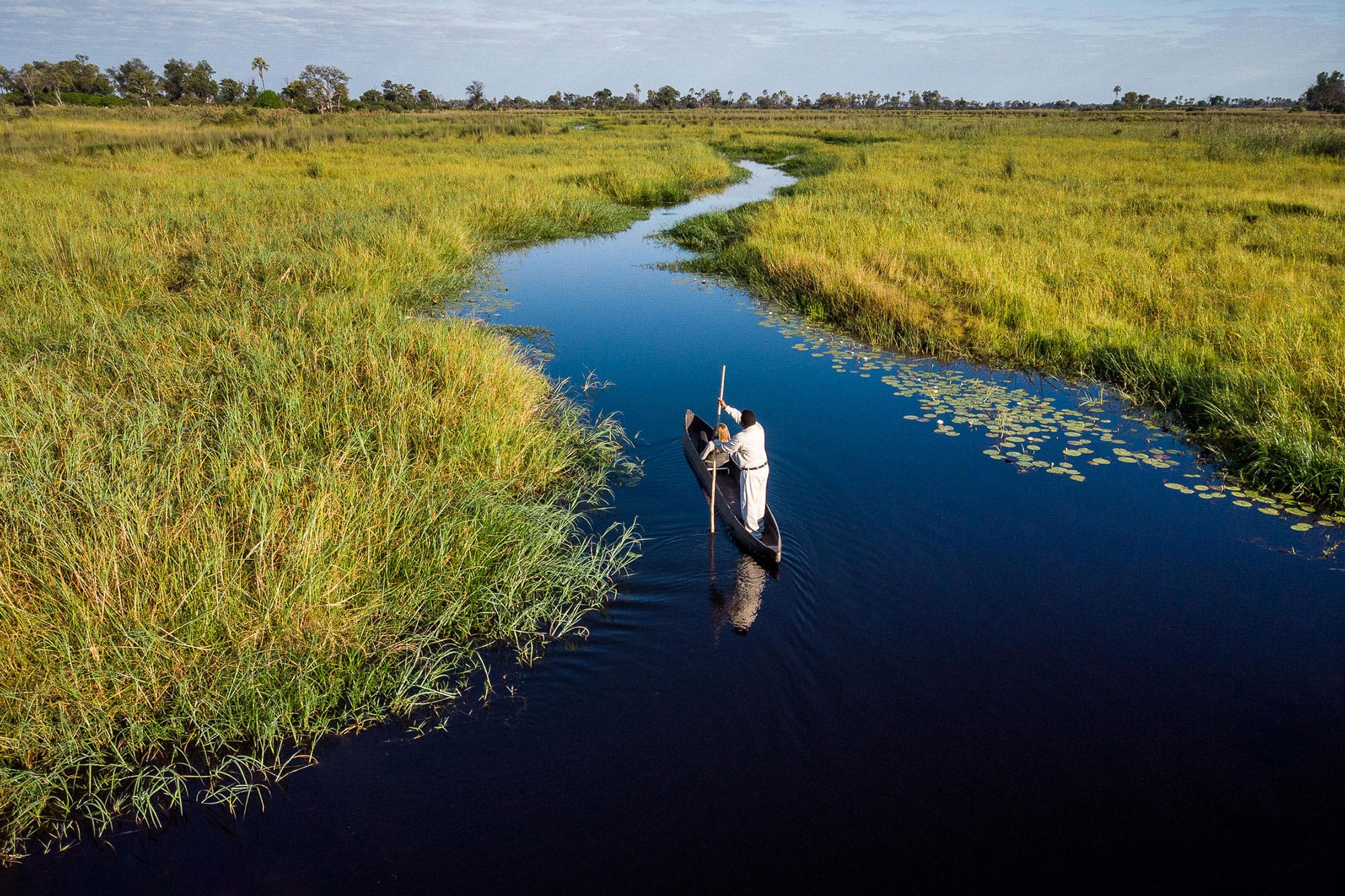Kruger or Botswana: How to choose