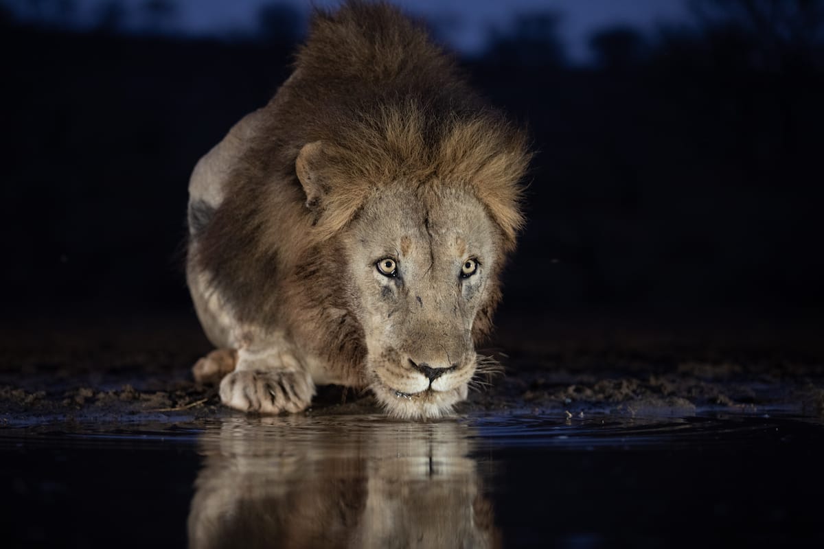 SOUTH AFRICA — Paul Brower