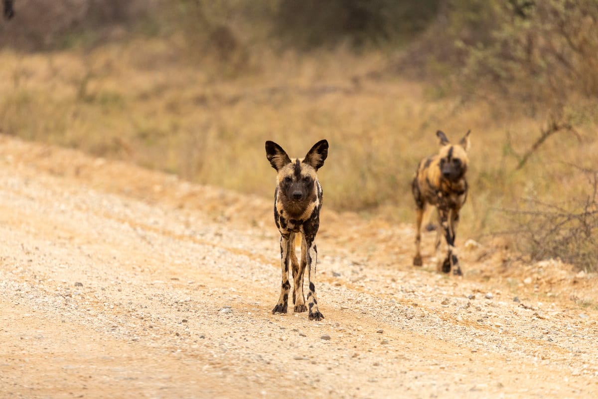 SOUTH AFRICA