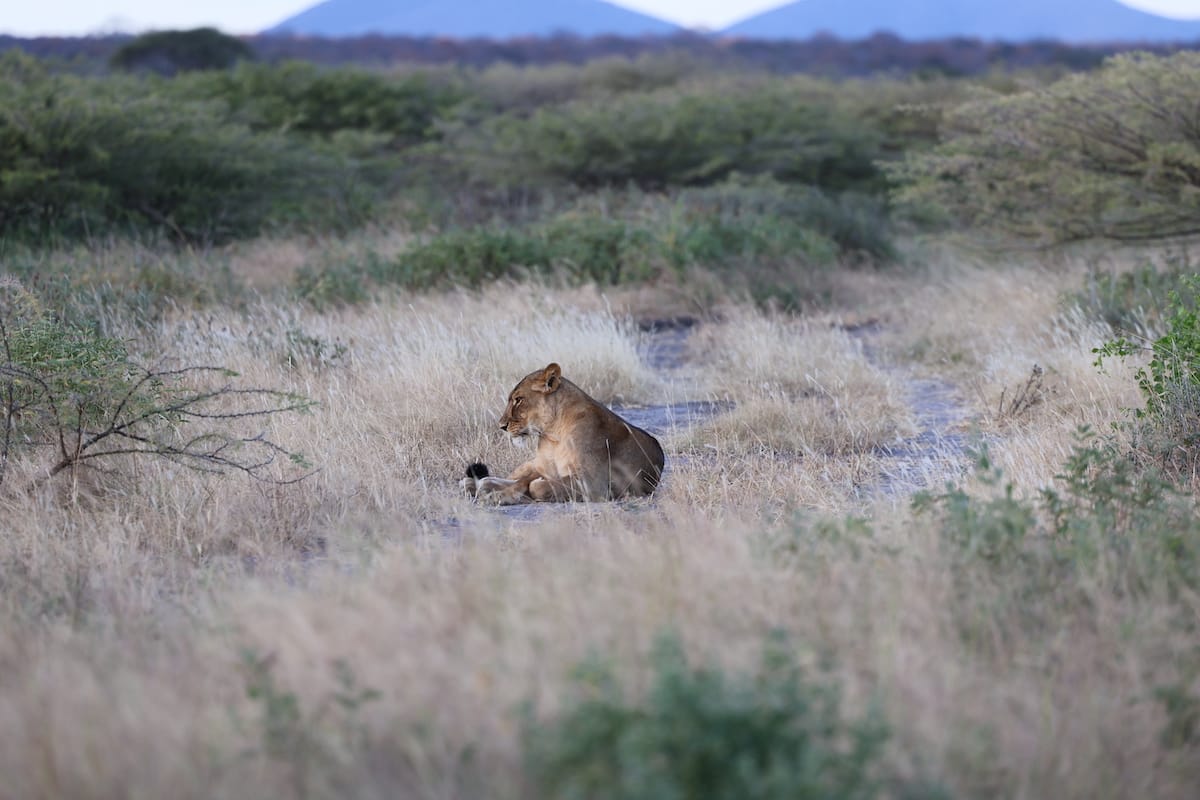 TANZANIA