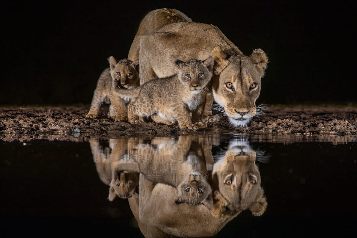 SOUTH AFRICA — Paul Brower