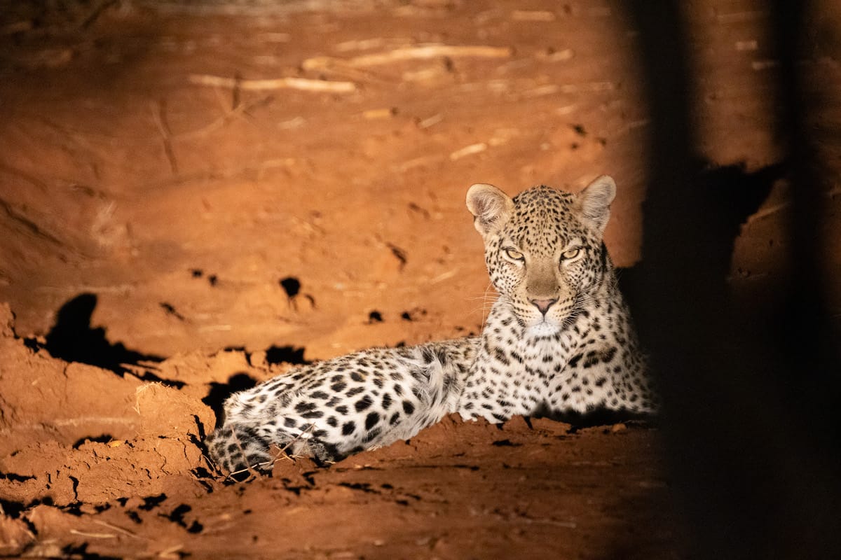 SOUTH AFRICA
