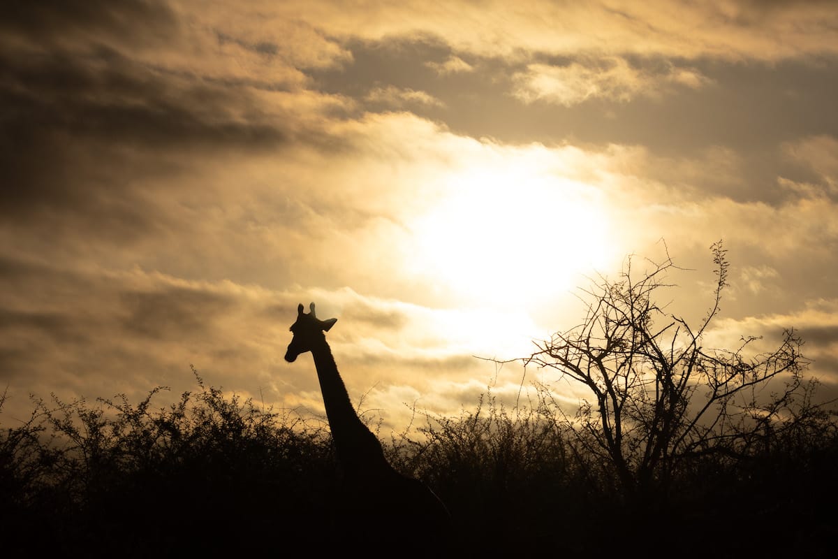 SOUTH AFRICA