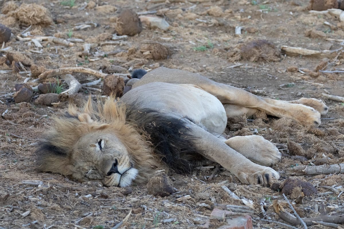 SOUTH AFRICA