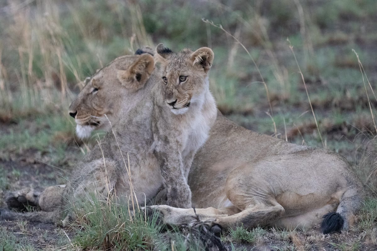 SOUTH AFRICA