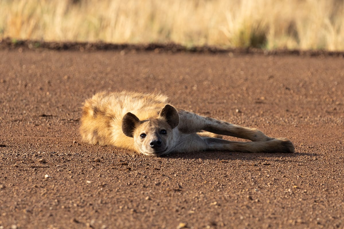 SOUTH AFRICA