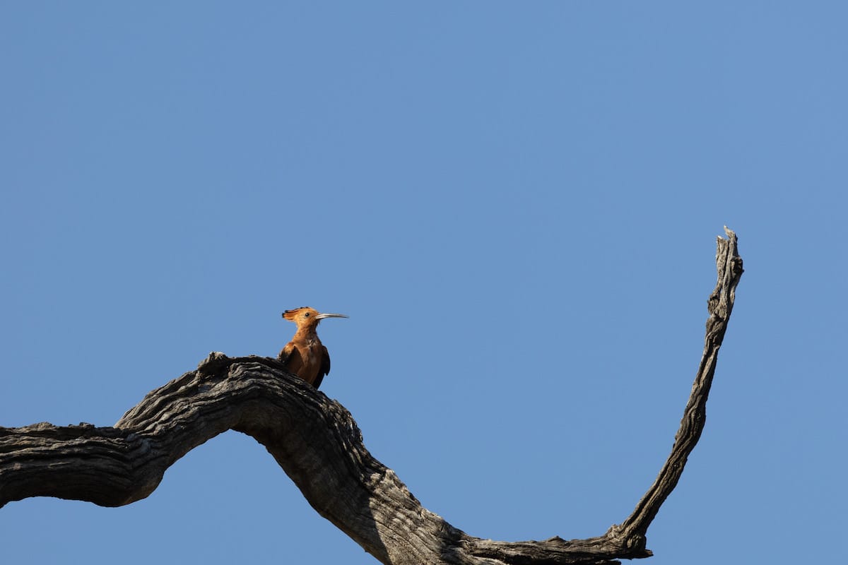 SOUTH AFRICA