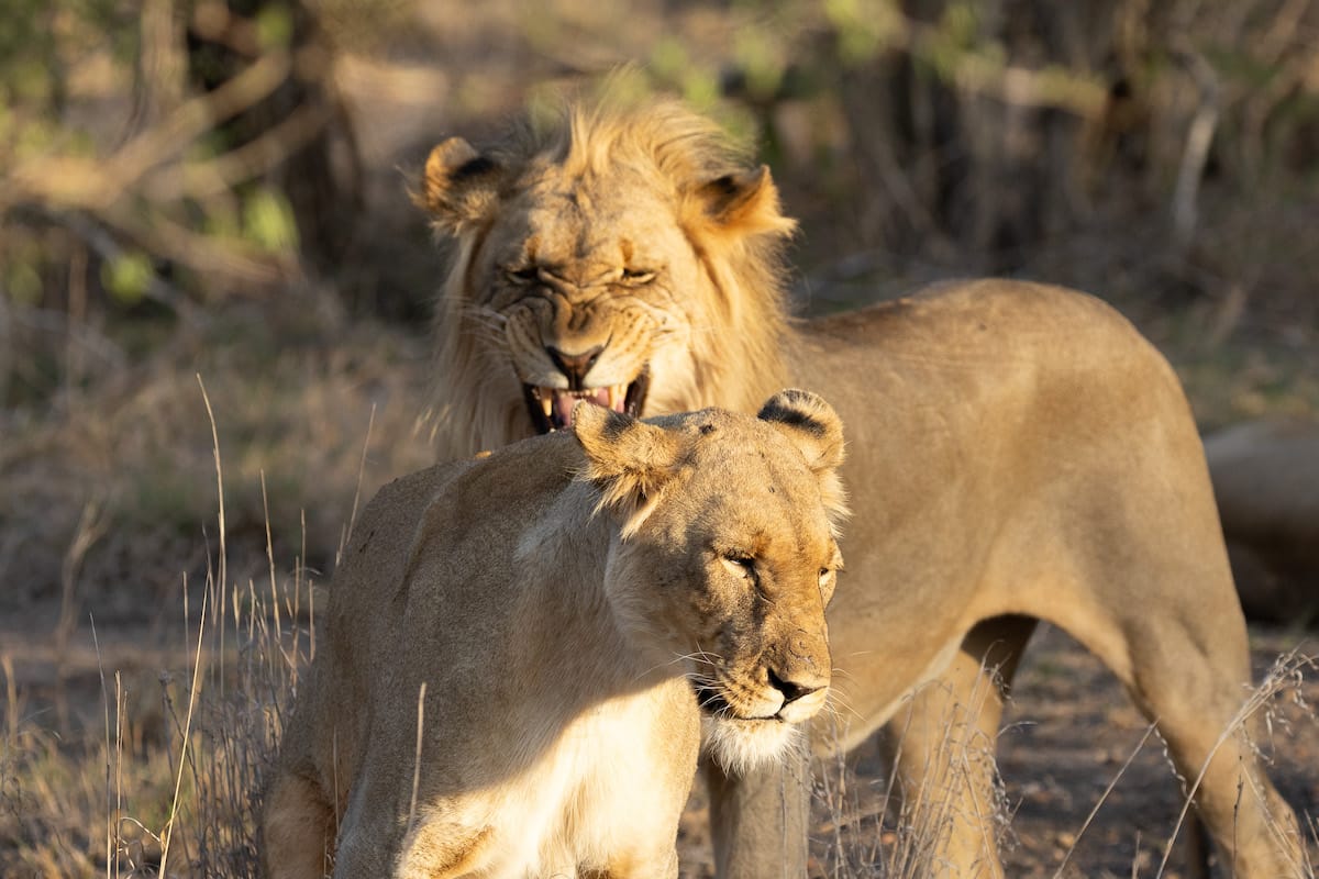 SOUTH AFRICA