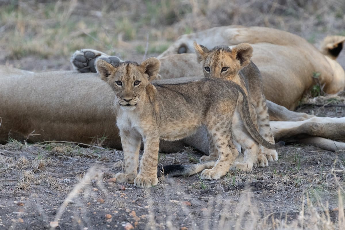 SOUTH AFRICA