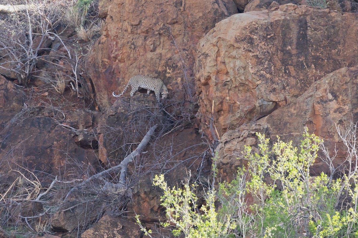 SOUTH AFRICA
