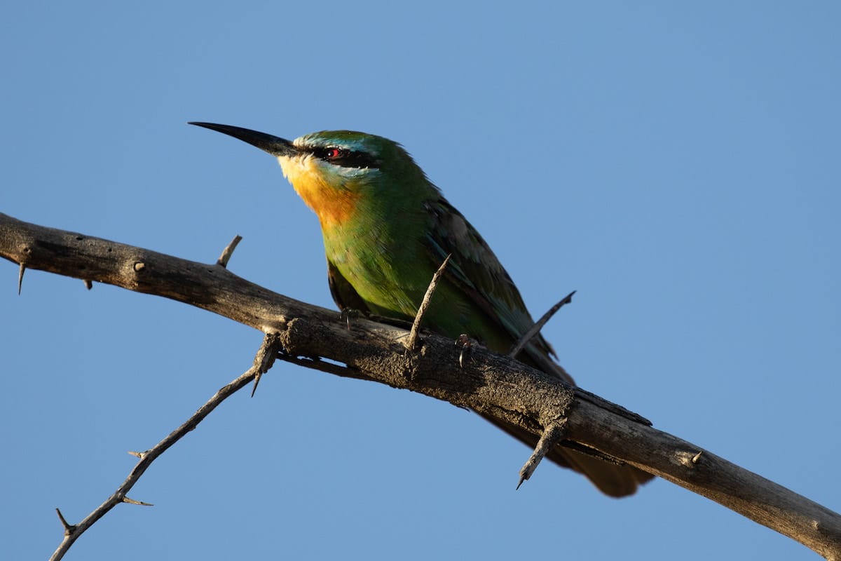 SOUTH AFRICA