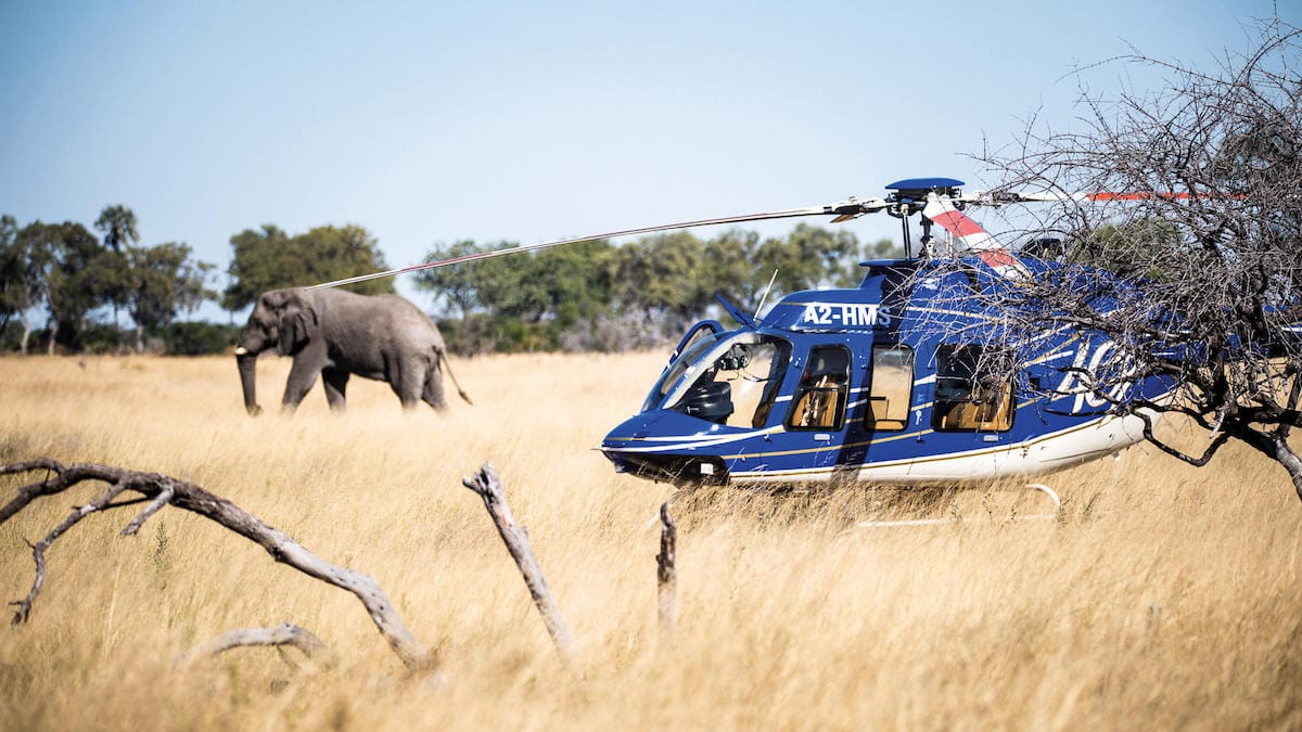 HOW TO BUDGET FOR YOUR SAFARI: A FIRST-TIMER’S GUIDE