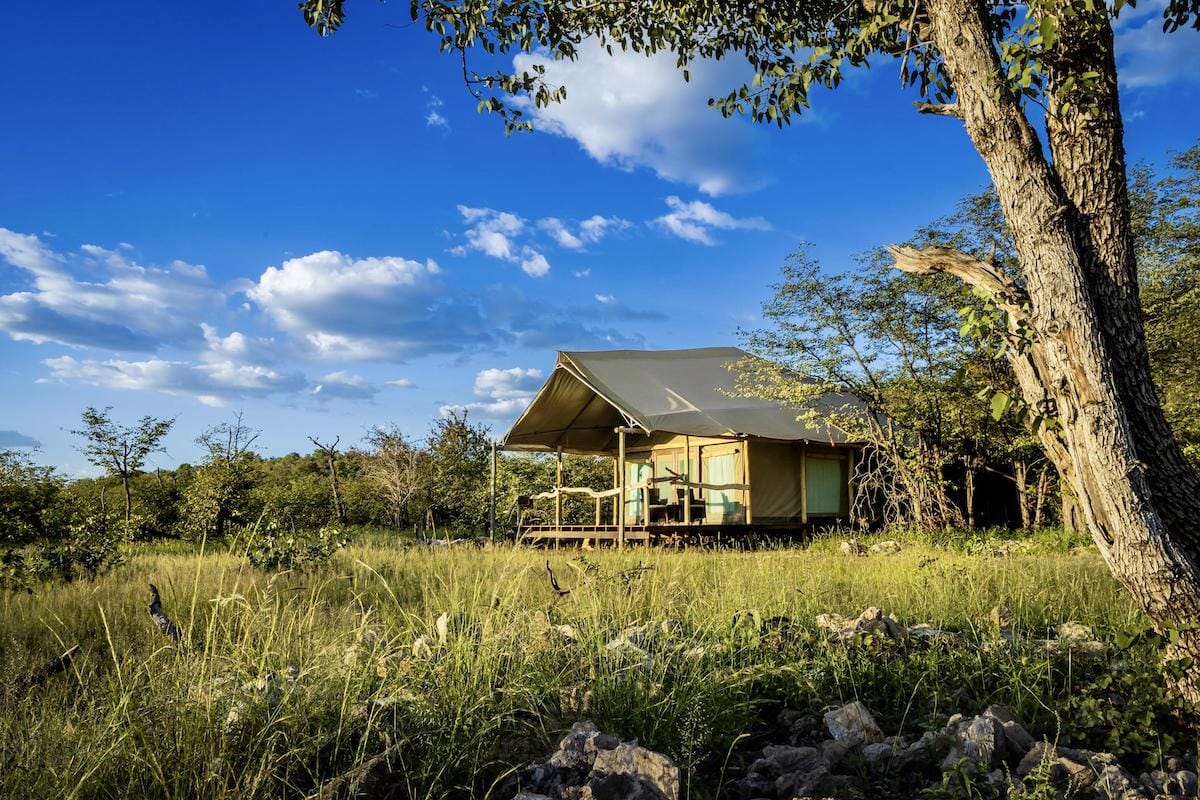 HOW TO BUDGET FOR YOUR SAFARI: A FIRST-TIMER’S GUIDE